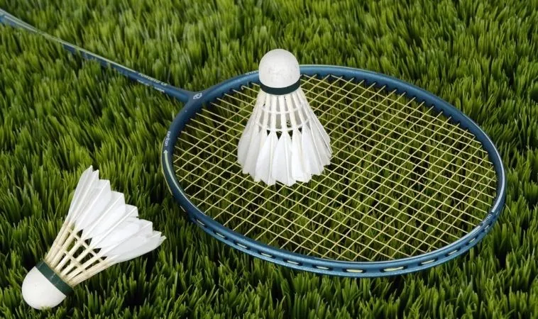 Hướng Dẫn Cách Chơi Cá Cược Cầu Lông Tại 123Win Chuẩn Nhất 2 Cần tìm hiểu về bộ môn Cầu Lông tại 123Win trước khi cá cược